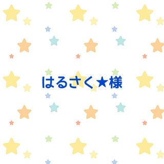 はるさく★様　蓋付きショルダーバッグ☆30×40(バッグ/レッスンバッグ)