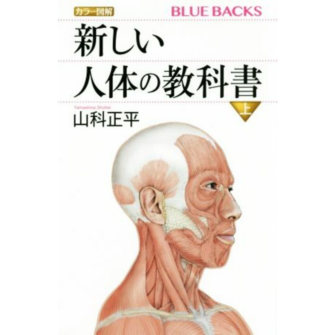 新しい人体の教科書　カラー図解(上) ブルーバックス／山科正平(著者) エンタメ/ホビーの本(健康/医学)の商品写真