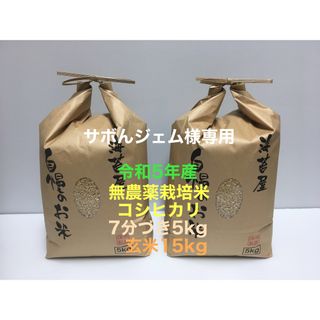 サボんジェム様専用 無農薬コシヒカリ7分づき5kg、玄米15kg 海苔(説明文)(米/穀物)