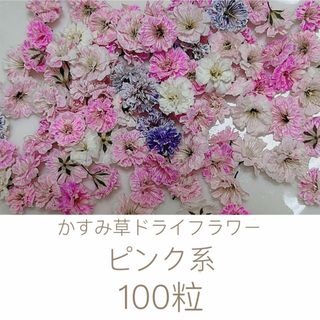 ピンク系 かすみ草ドライフラワー100粒(ドライフラワー)