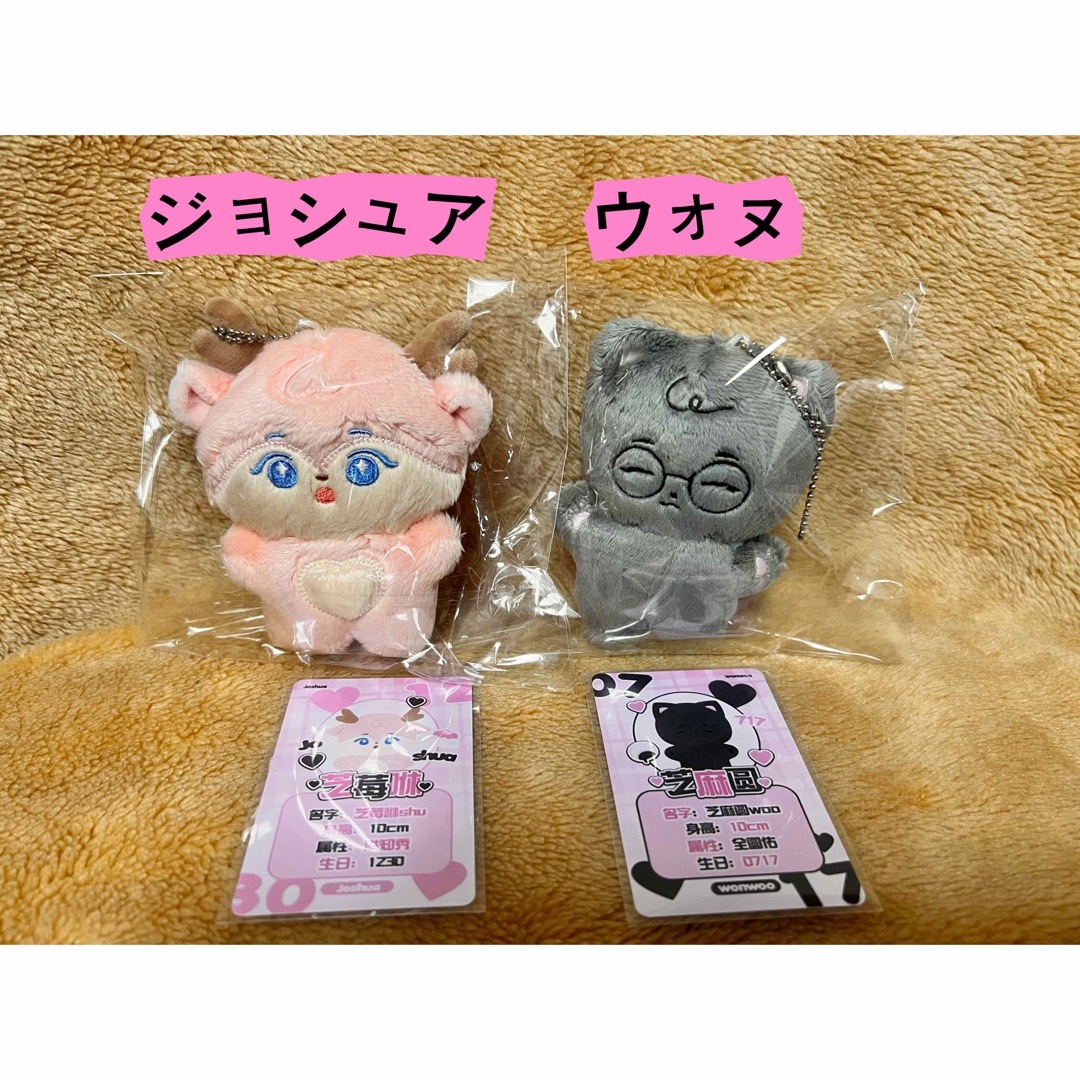 ジョシュア ぬいぐるみ 10cm 新品 マスター セブチ seventeen - ぬいぐるみ ジョシュア ぬいぐるみ 10cm 新品 マスター セブチ seventeen - ぬいぐるみ