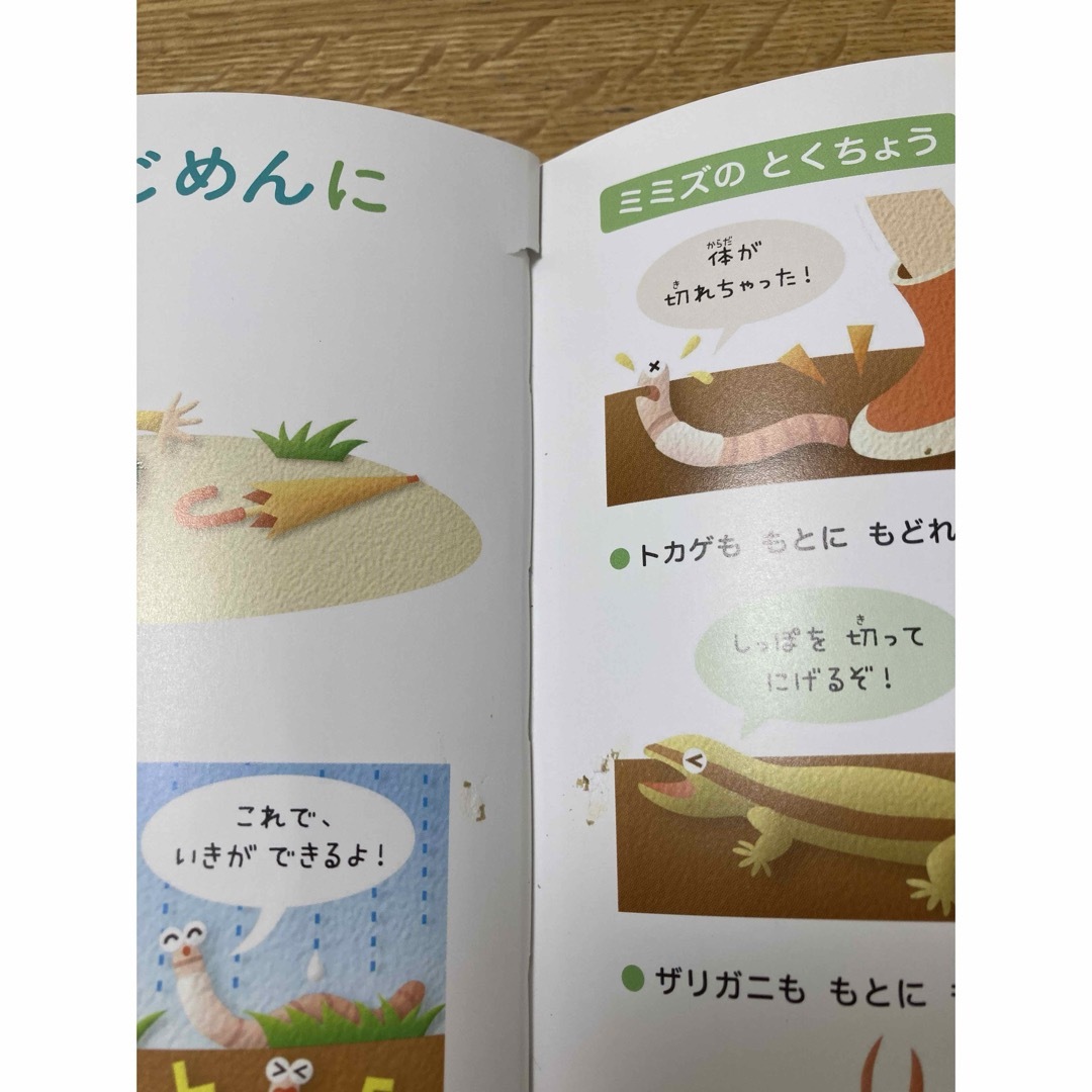 小学館(ショウガクカン)のふしぎの図鑑 小学館 エンタメ/ホビーの本(絵本/児童書)の商品写真