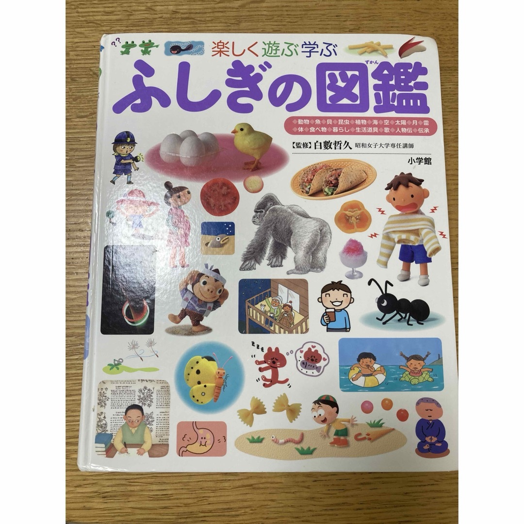 小学館(ショウガクカン)のふしぎの図鑑 小学館 エンタメ/ホビーの本(絵本/児童書)の商品写真