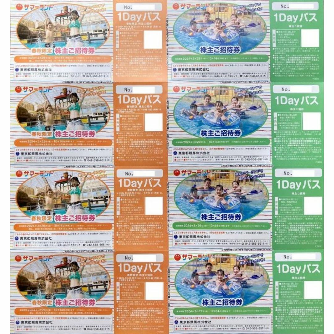 東京都競馬株主優待券サマーランド　2セット チケットの優待券/割引券(その他)の商品写真