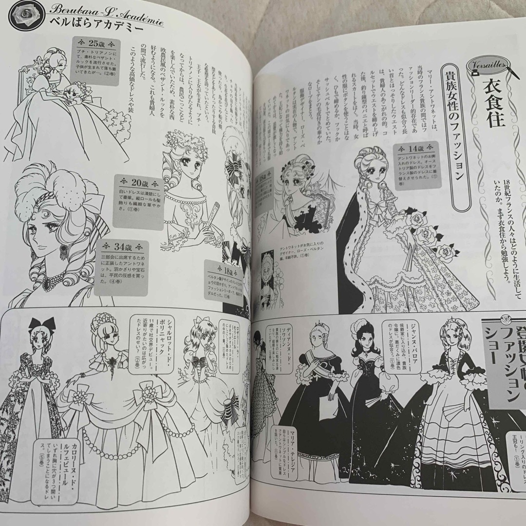 ベルサイユのばら大事典 エンタメ/ホビーの漫画(その他)の商品写真