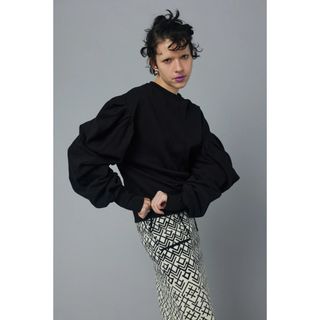 ヘリンドットサイ(HeRIN.CYE)のHeRIN.CYE Mountain sleeve tops(トレーナー/スウェット)