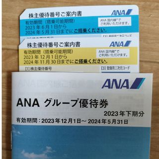 ANA株主優待２枚　グループ優待券(航空券)