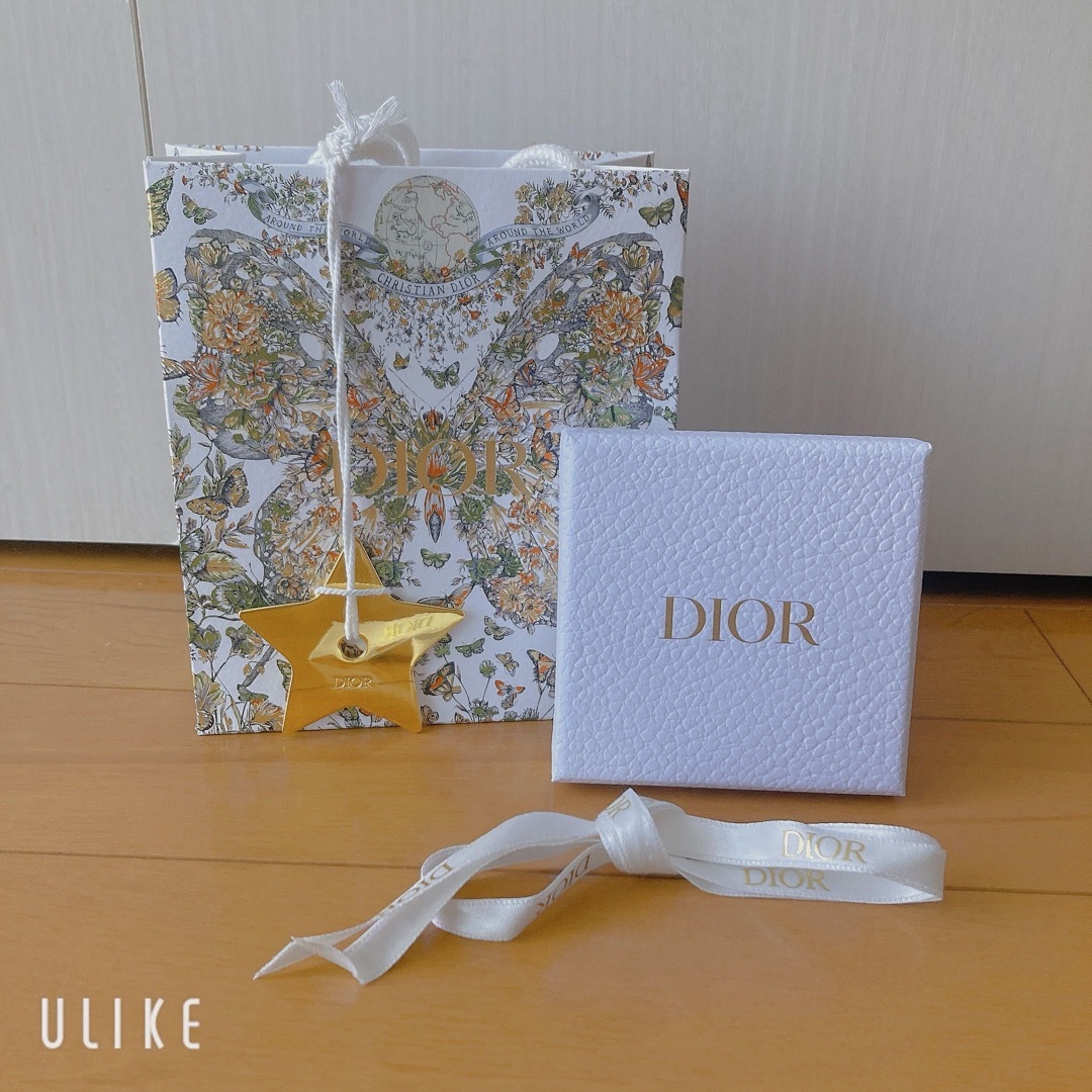 Christian Dior(クリスチャンディオール)のディオールショッパー&空箱 レディースのバッグ(ショップ袋)の商品写真