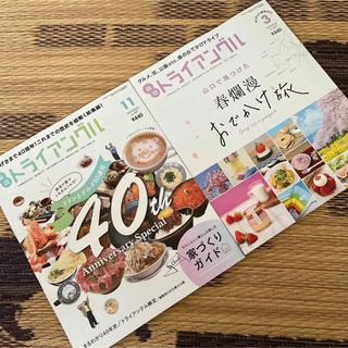 山口トライアングル　2冊(地図/旅行ガイド)