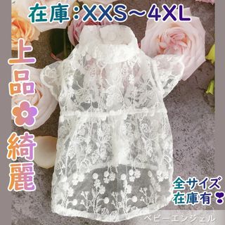 上品なレースワンピース 春夏犬の服猫服 ドッグウェア ペットウェアわんこ服(犬)