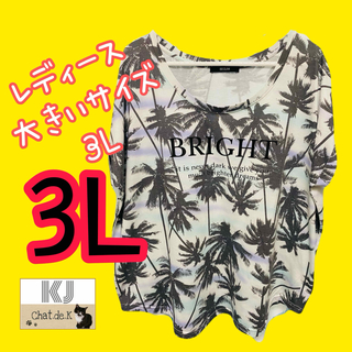 大きいサイズ レディースTシャツ 3L(Tシャツ(半袖/袖なし))