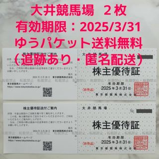 大井競馬場 株主優待証 2枚 株主優待券(その他)