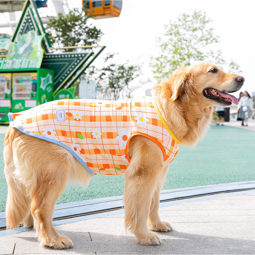 チェック柄二色タンクトップ トップスシャツ 夏犬の服 大型犬ドッグウェア その他のペット用品(犬)の商品写真