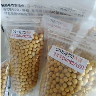 大豆 小粒 納豆用 100g 藁 ワラ付き 実験用(米/穀物)