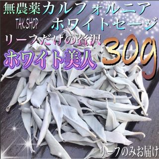 ✴︎最上級✴︎カルフォルニアホワイトセージ リーフ30g✴︎プレゼント付き(お香/香炉)