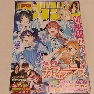 櫻坂46 - 女神のカフェテラス　週刊少年マガジン 12号 応募券無し