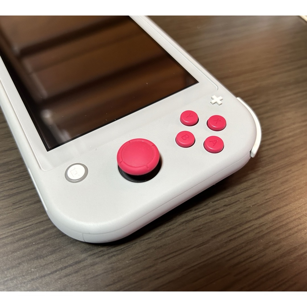 Switch Lite ザシアン・ザマゼンタ Switch Lite ザシアン・ザマゼンタ