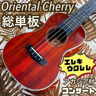 【oriental Cherry】アカシア単板のコンサートウクレレ【エレキ仕様】(コンサートウクレレ)