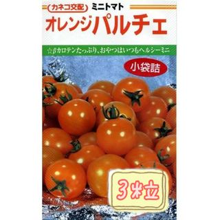 野菜の種【ミニトマト】オレンジパルチェ①(野菜)