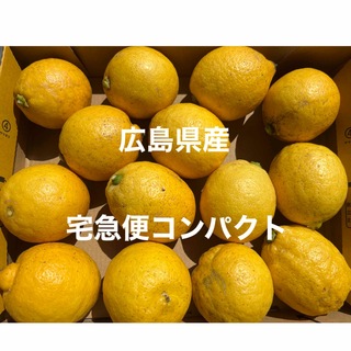 広島県産 レモン 国産 宅急便コンパクト(フルーツ)