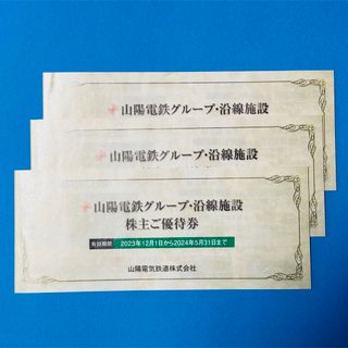 山陽電鉄グループ・沿線施設 株主優待券3冊(その他)