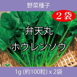 野菜種子 TVA02 弁天丸ホウレンソウ 1g(約100粒) x 2袋(野菜)