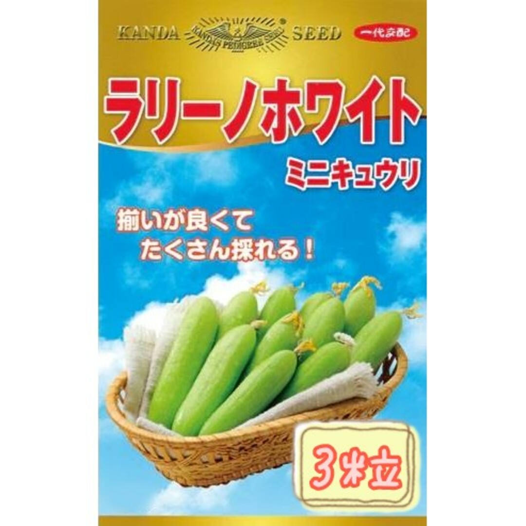 野菜の種【ミニきゅうり】ラリーノホワイト① 食品/飲料/酒の食品(野菜)の商品写真