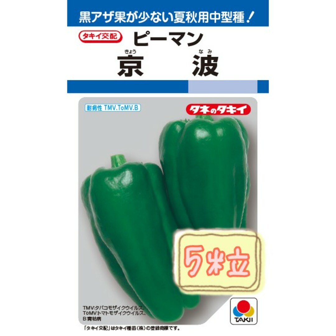 野菜の種【ピーマン】京波① 食品/飲料/酒の食品(野菜)の商品写真