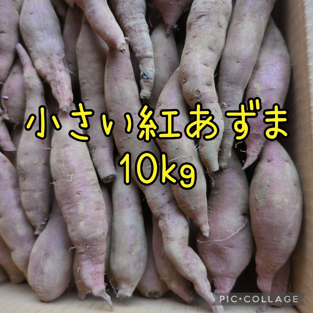 小さい紅あずま10kg 食品/飲料/酒の食品(野菜)の商品写真