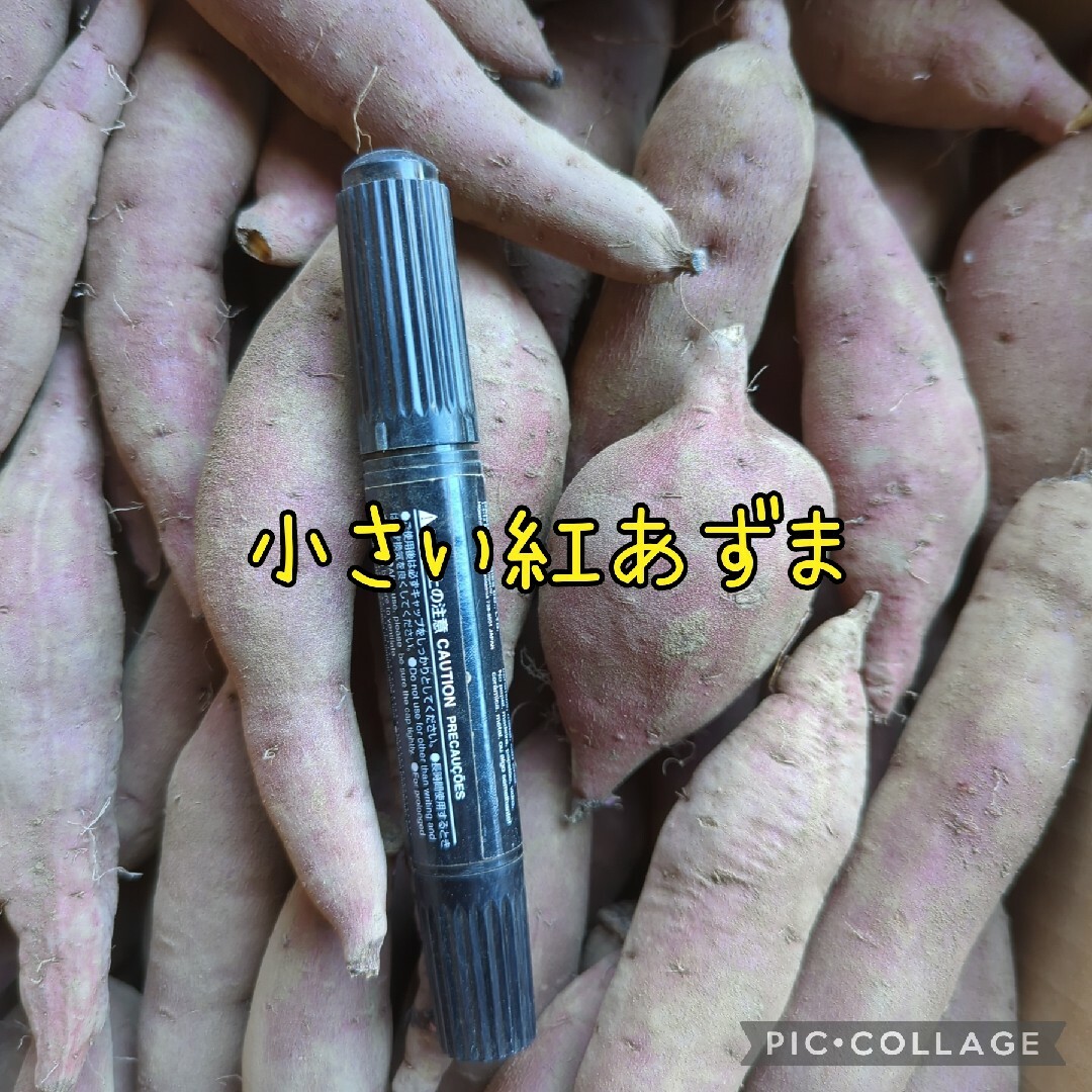 小さい紅あずま10kg 食品/飲料/酒の食品(野菜)の商品写真