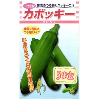 野菜の種【韓国かぼちゃ】カボッキー①(野菜)