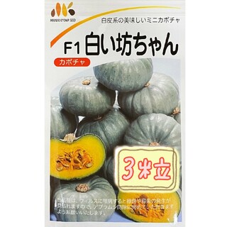 野菜の種【ミニかぼちゃ】白い坊ちゃん①(野菜)