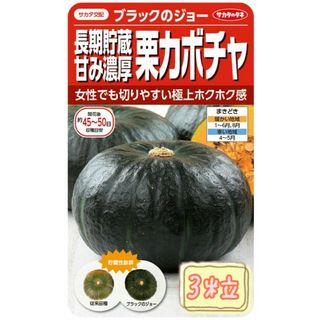 野菜の種【かぼちゃ】ブラックのジョー①(野菜)