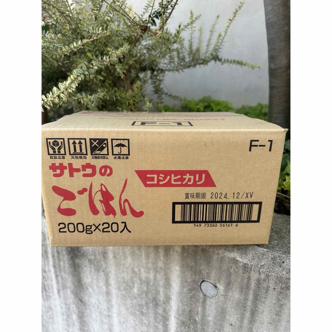 サトウ食品(サトウショクヒン)のサトウのごはん　200g  20個 食品/飲料/酒の食品(米/穀物)の商品写真