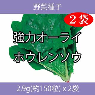 野菜種子 TVA08 強力オーライホウレンソウ 2.9g(約150粒) x 2袋(野菜)