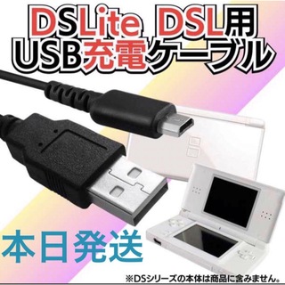 ニンテンドーDS(ニンテンドーDS)の新品DSライト 充電器 USB ケーブル DSL DS Lite NDS r(携帯用ゲーム機本体)