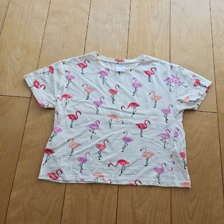 ザラキッズ(ZARA KIDS)の【ZARA　KIDS】フラミンゴ柄　クロップドTシャツ(130cm140cm)(Tシャツ/カットソー)