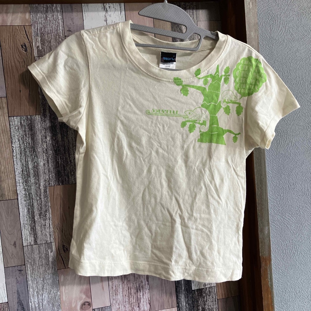 55DSL(フィフティーファイブディーエスエル)の55DSL Tシャツ　チビT レディースのトップス(Tシャツ(半袖/袖なし))の商品写真