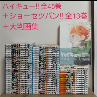 ハイキュー 全巻セット ショーセツバン 小説 大判画集(全巻セット)