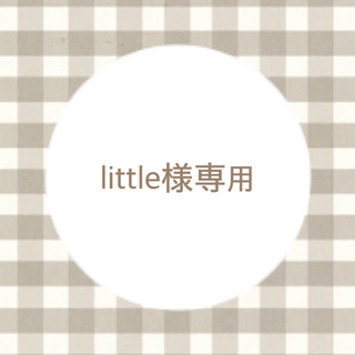 【little様専用】ジェンダーリビールカード　性別発表カード　ラテカラー