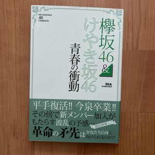 欅坂46&けやき坂46 青春の衝動