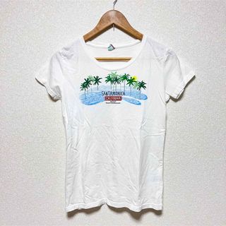 レディース　トップス　南国tシャツ　m カットソー　プルオーバー　綿100 白(Tシャツ(半袖/袖なし))