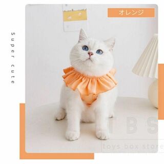 猫用　術後服　オレンジ　Mサイズ　エリザベスウェア(猫)