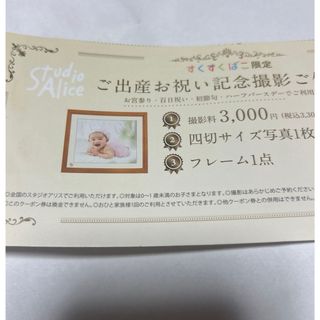 スタジオアリス　すくすくばこ限定出産お祝い記念写真撮影券(その他)