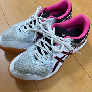 アシックス(asics)のasics バレーシューズ(バレーボール)