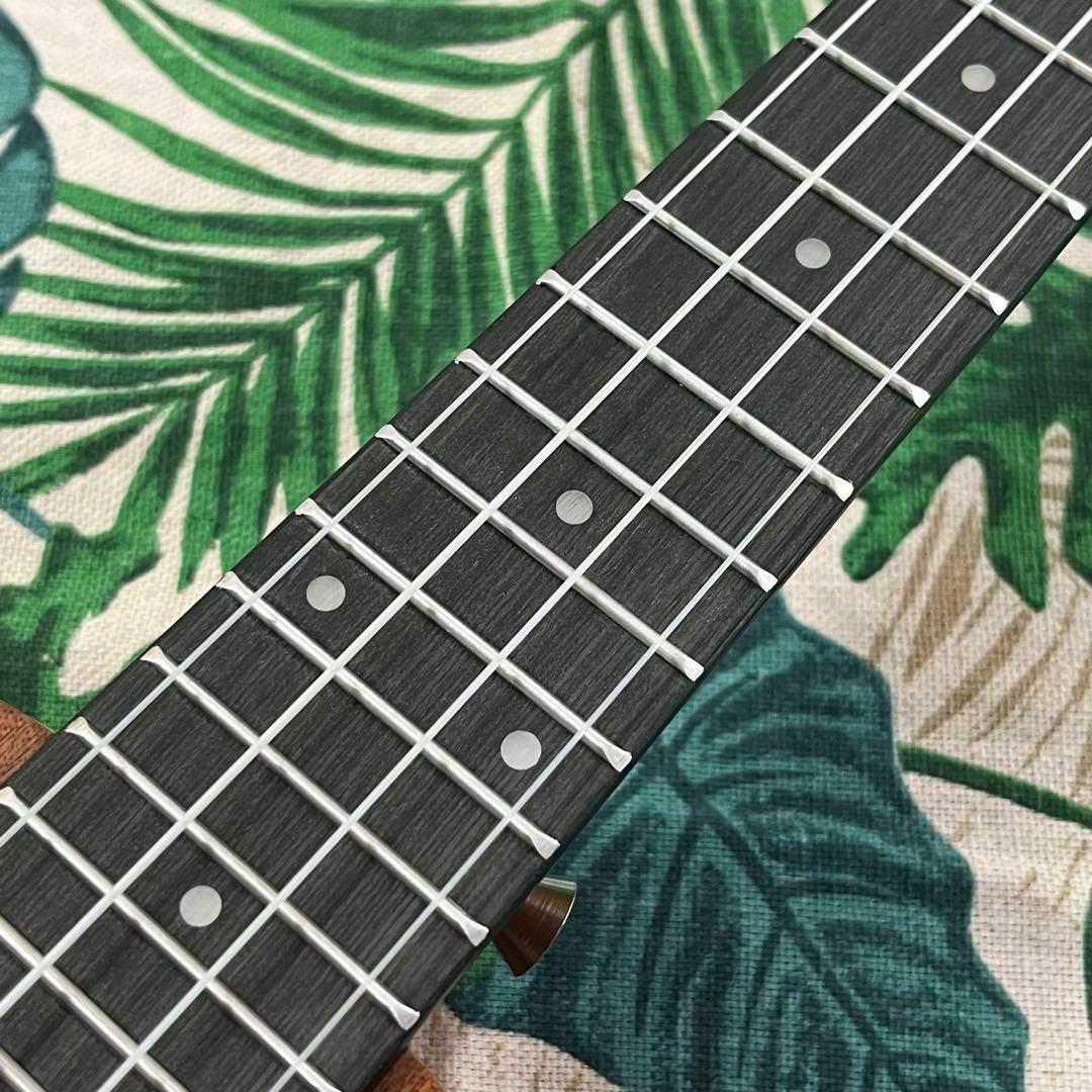 【kmise ukulele】かたつむり模様のエレキ・コンサートウクレレ 楽器のウクレレ(コンサートウクレレ)の商品写真