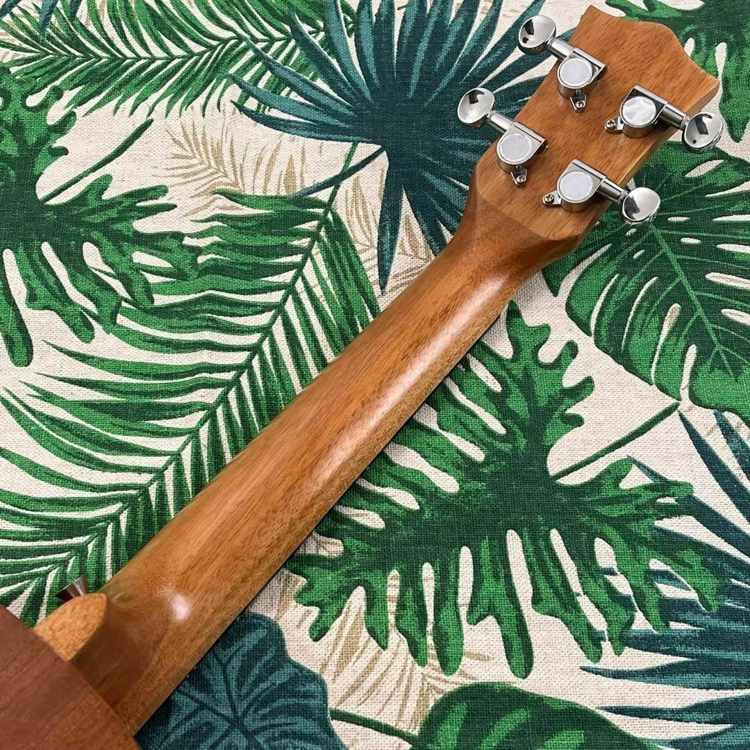 【kmise ukulele】かたつむり模様のエレキ・コンサートウクレレ 楽器のウクレレ(コンサートウクレレ)の商品写真