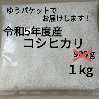 [白米にしてお届け！]兵庫県産　コシヒカリ　箱込み１キロ(米/穀物)