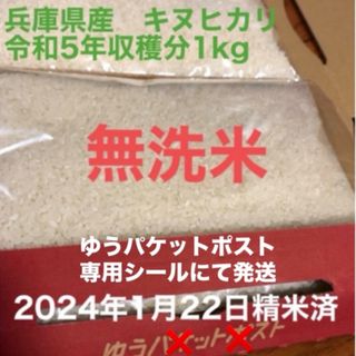 白米　キヌヒカリ 1kg (米/穀物)