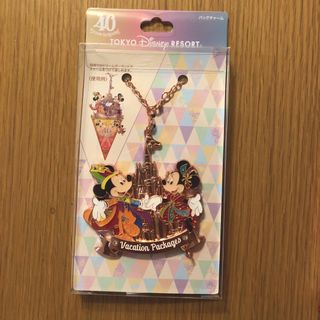 ディズニー(Disney)のバケーションパッケージ　バッグチャーム(キャラクターグッズ)